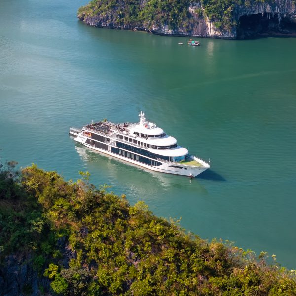 Sea Octopus Cruise